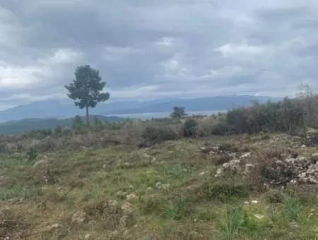 500 M² Feld Zum Verkauf In Köyceğiz Zeytinalani