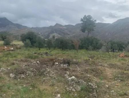 500 M² Feld Zum Verkauf In Köyceğiz Zeytinalani