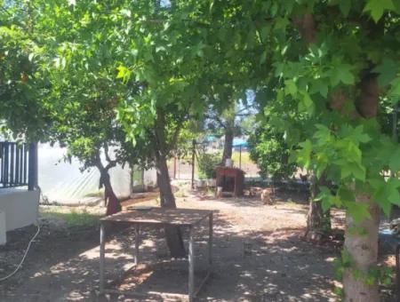 2 1 Freistehendes Haus Zu Vermieten In Dalyan Marmarali