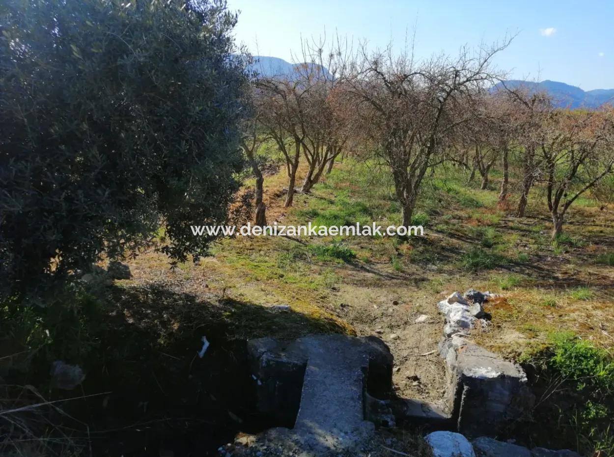 Ortaca Fevziye Mah For Sale 4300M² Single Title Deed Field