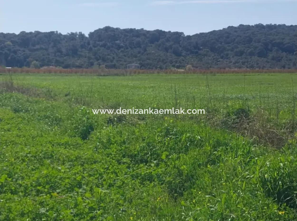 Guzelyurt Mah. 11 Acres Of Single Title Deed Land For Sale