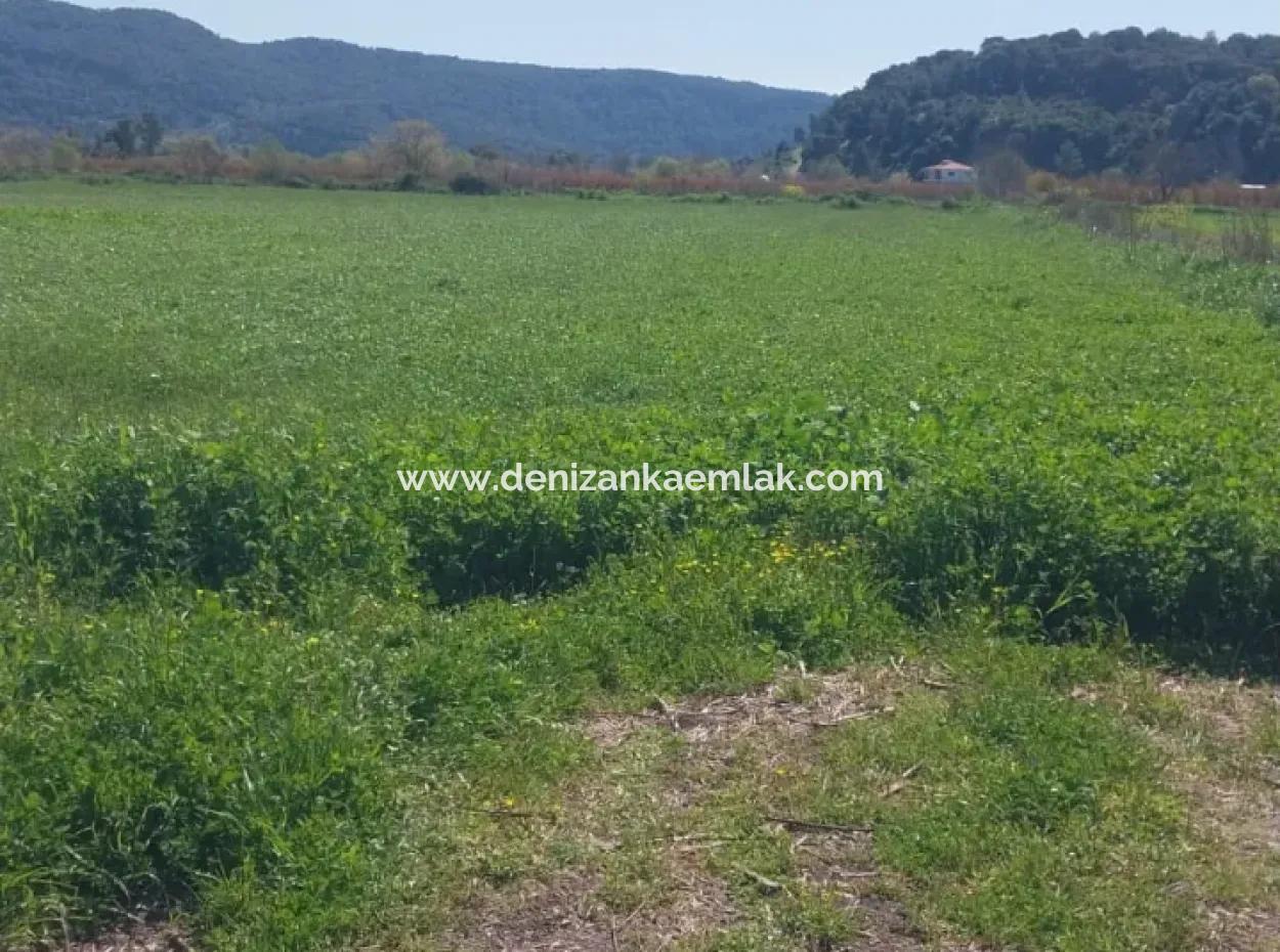 Guzelyurt Mah. 11 Acres Of Single Title Deed Land For Sale