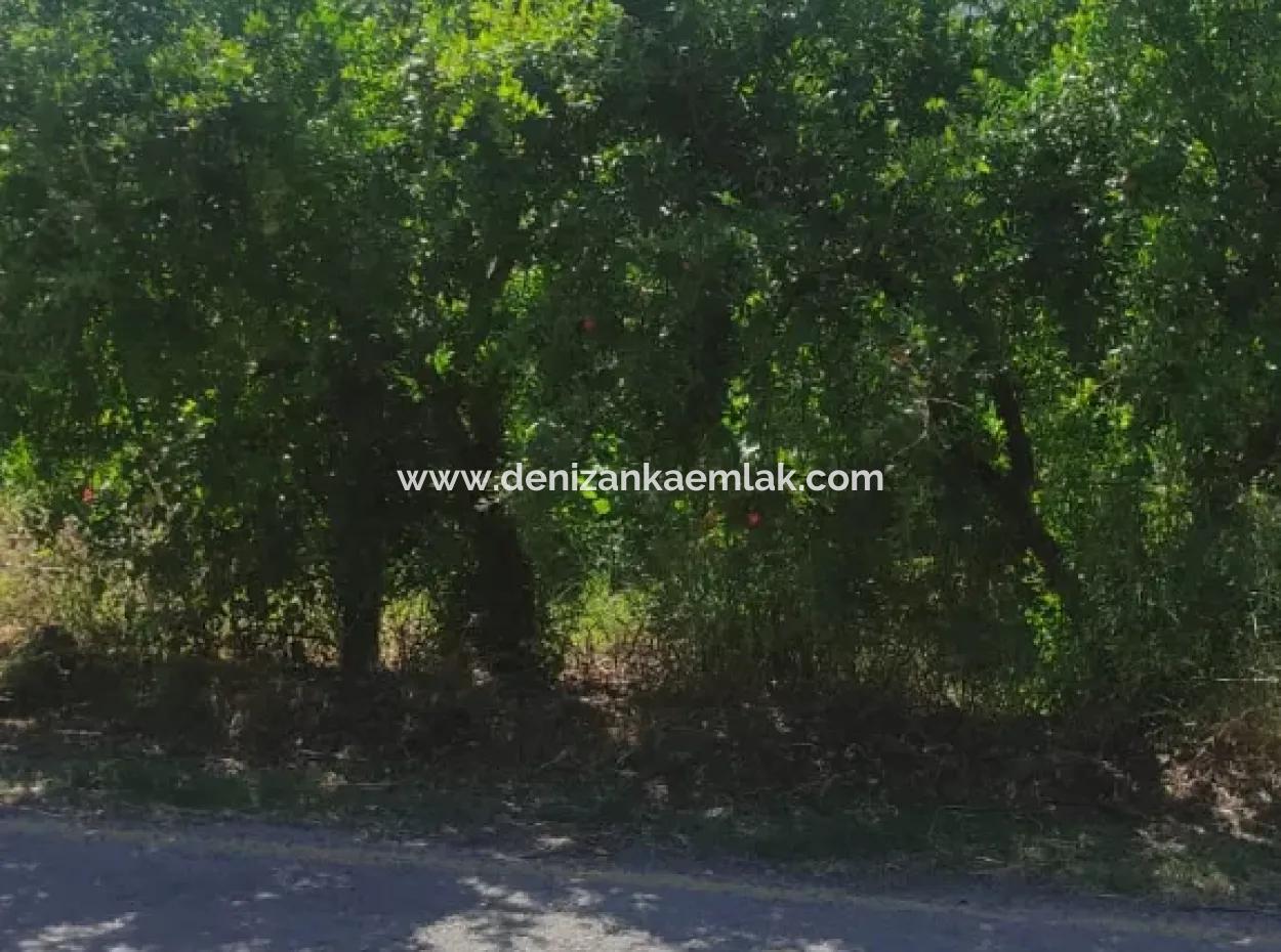 400M² Land For Sale In Ortaca Tepearasi