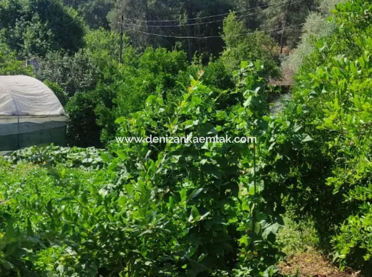 400M² Land For Sale In Ortaca Tepearasi