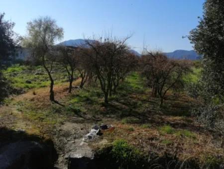 Ortaca Fevziye Mah For Sale 4300M² Single Title Deed Field