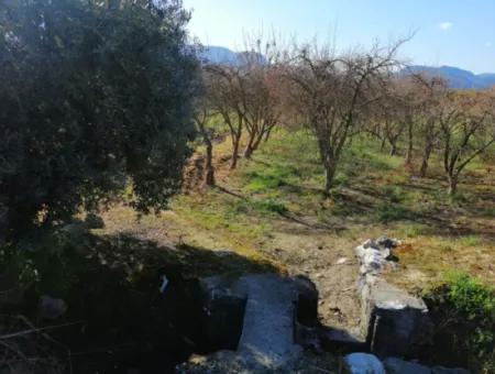 Ortaca Fevziye Mah For Sale 4300M² Single Title Deed Field