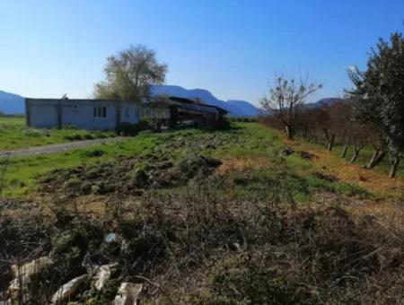 Ortaca Fevziye Mah For Sale 4300M² Single Title Deed Field