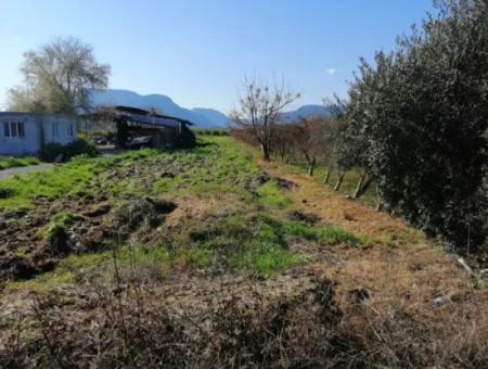 Ortaca Fevziye Mah For Sale 4300M² Single Title Deed Field