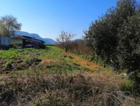 Ortaca Fevziye Mah For Sale 4300M² Single Title Deed Field