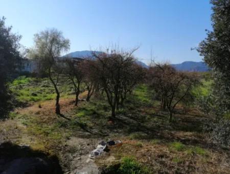 Ortaca Fevziye Mah For Sale 4300M² Single Title Deed Field