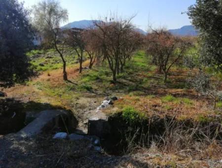 Ortaca Fevziye Mah For Sale 4300M² Single Title Deed Field