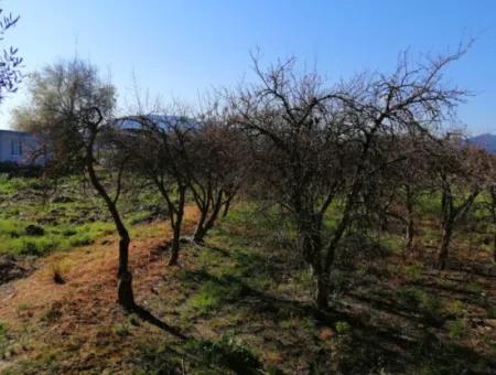 Ortaca Fevziye Mah For Sale 4300M² Single Title Deed Field