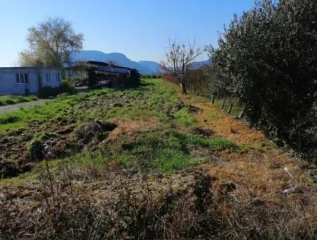 Ortaca Fevziye Mah For Sale 4300M² Single Title Deed Field