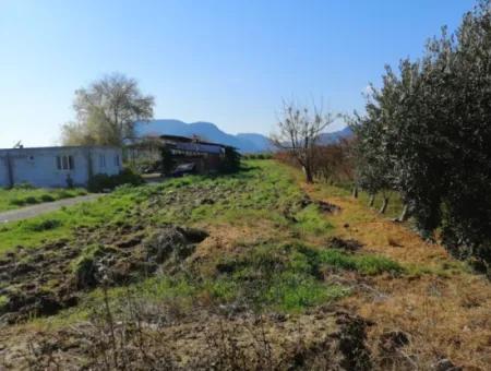 Ortaca Fevziye Mah For Sale 4300M² Single Title Deed Field