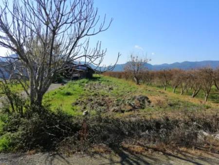 Ortaca Fevziye Mah For Sale 4300M² Single Title Deed Field