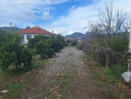 Ortaca Güzelyurt Mah.rent 5 Acres Land In Full Detached 2 1