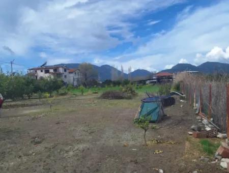 Ortaca Güzelyurt Mah.rent 5 Acres Land In Full Detached 2 1