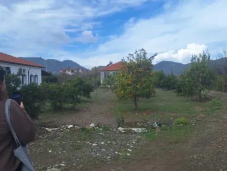 Ortaca Güzelyurt Mah.rent 5 Acres Land In Full Detached 2 1