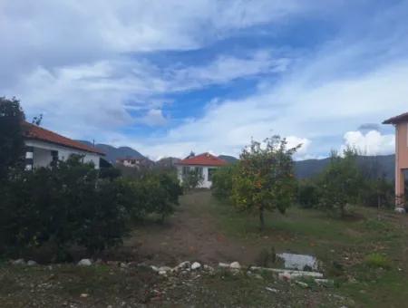 Ortaca Güzelyurt Mah.rent 5 Acres Land In Full Detached 2 1