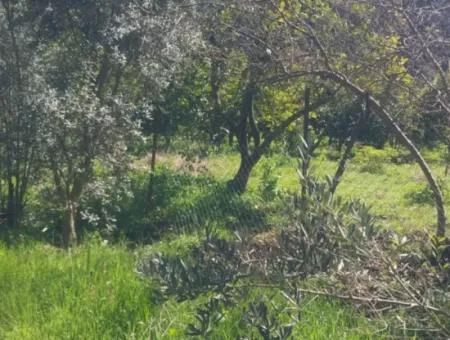 Ortaca Mergenli Mah. 500 M² Shared Land For Sale