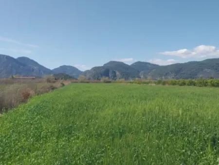 Ortaca Güzelyurt Mah. For Sale 6335M² Land For Sale