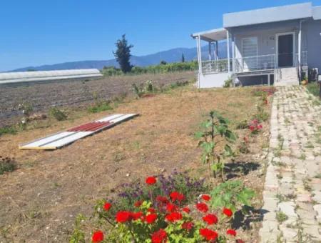 Ortaca Eskikoy Mah Fully Furnished 2 1 Detached House For Rent