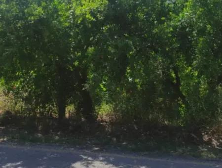 400M² Land For Sale In Ortaca Tepearasi