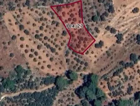 Dalaman Kayadibi Mah 1789M² Single Title Deed Field For Sale