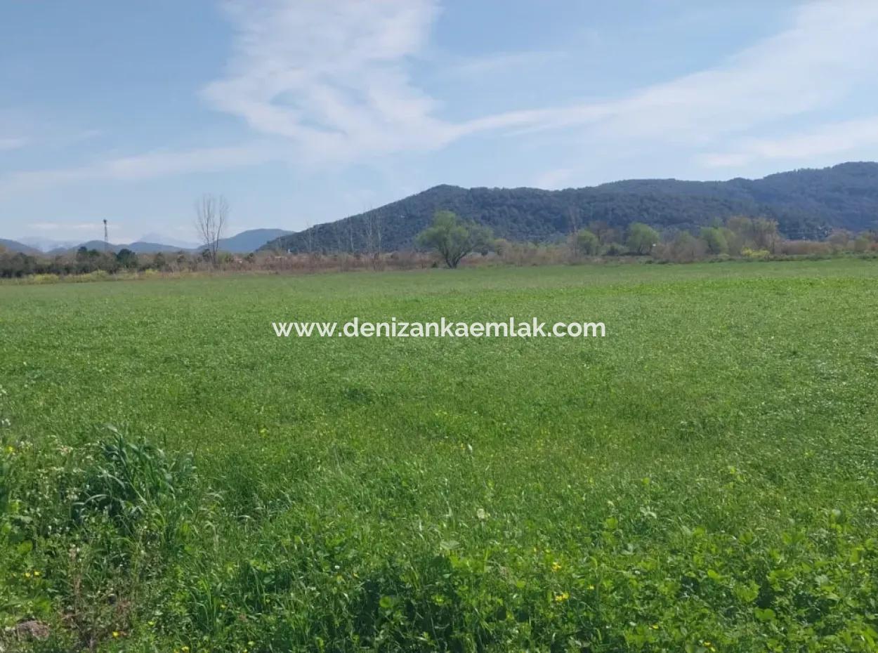 Ortaca  Güzelyurt Mah.satılık 6335M² Satılık Tarla